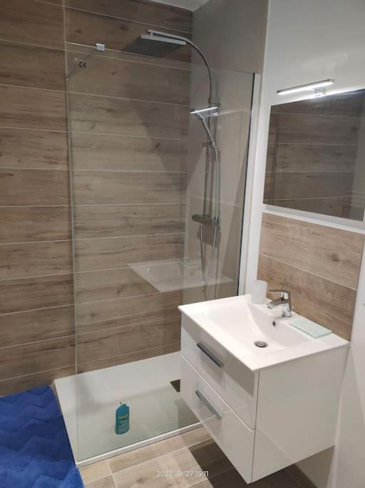 Logement Complet A Villeurbanne Exterior foto